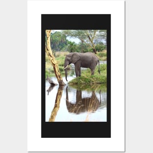 African Elephant, Serengeti National Park, Tanzania. Posters and Art